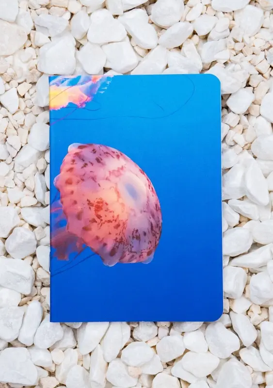 Roca stone paper Notebook - JellyFish