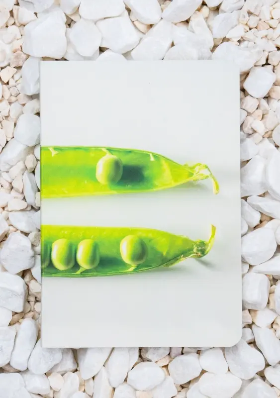 Roca stone paper Notebook - Peas