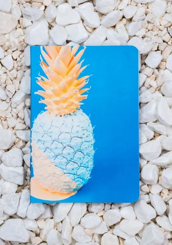 Roca stone paper notebook - A6 - Pineapple
