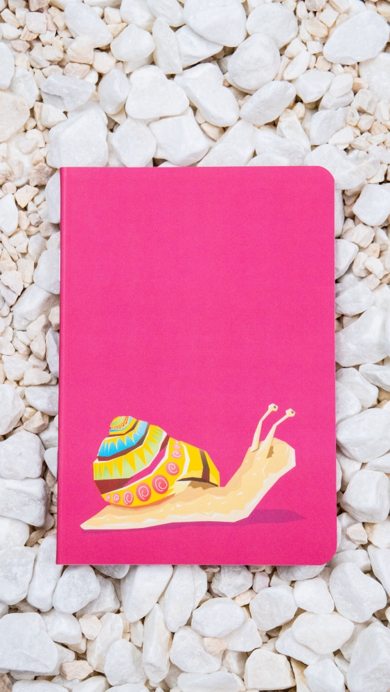 Roca stone paper notebook - A6 - Snail