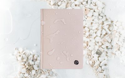 Is it worth it to buy a Stone Notebook?